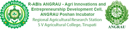 ANGRAU Agri Innovation Foundation