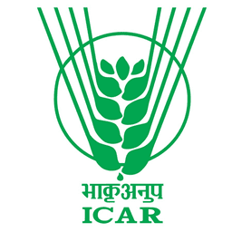 Indian Institute of Millets Research (IIMR)